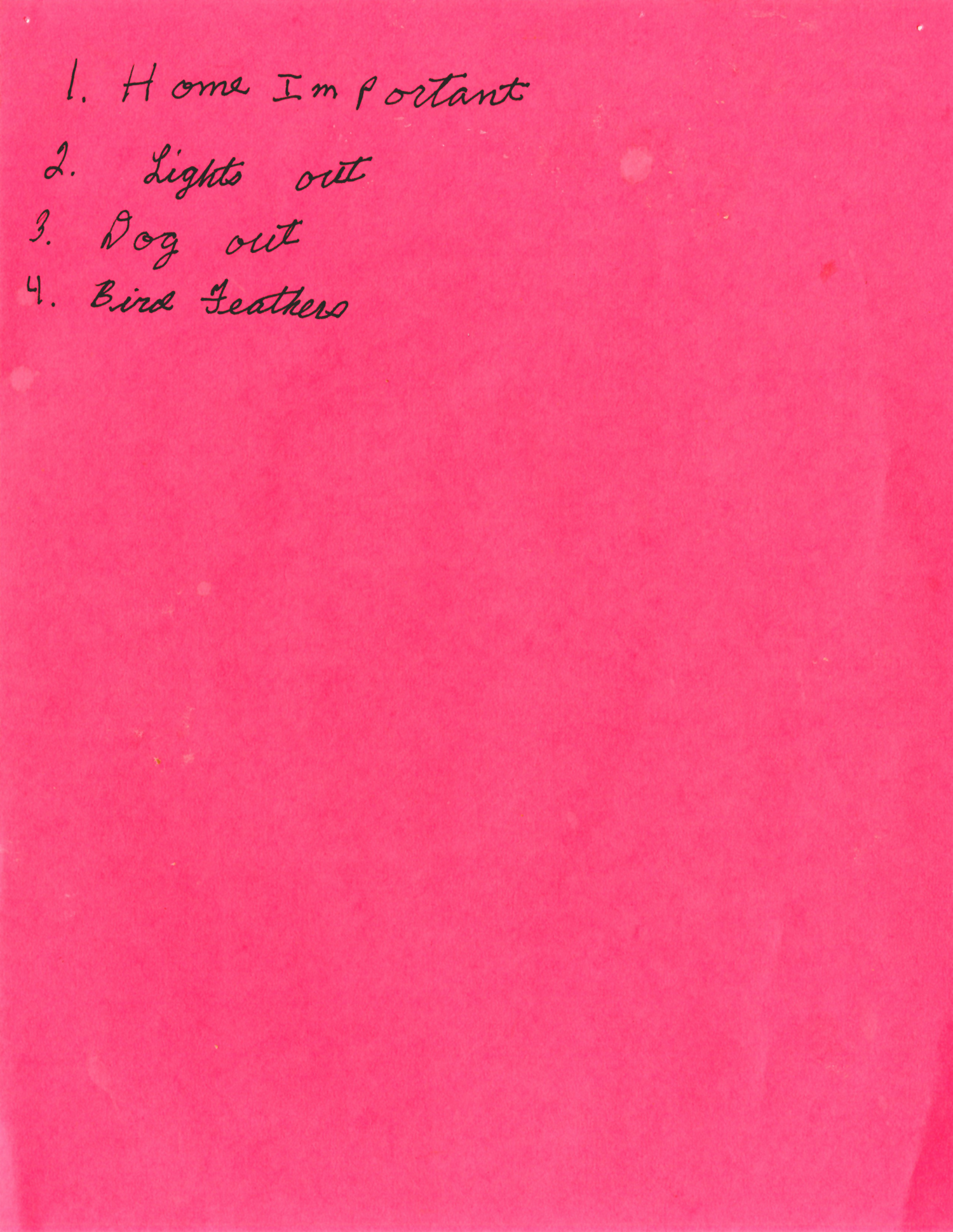 pink paper with four lines of text in a list that says 1. home important 2. lights out 3. dog out 4. bird feathers