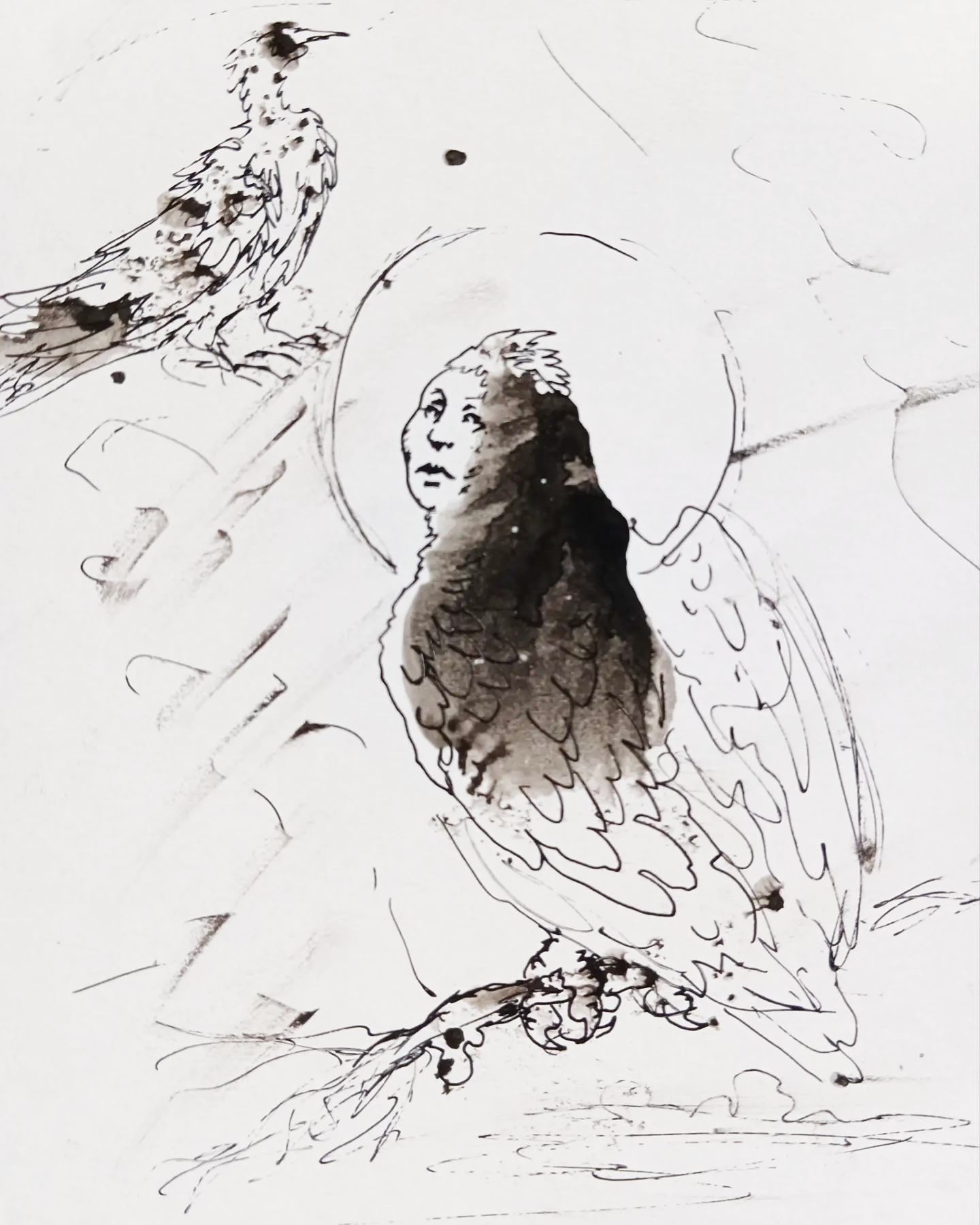 ink drawing of small bird on a branch and larger bird on a branch with human face