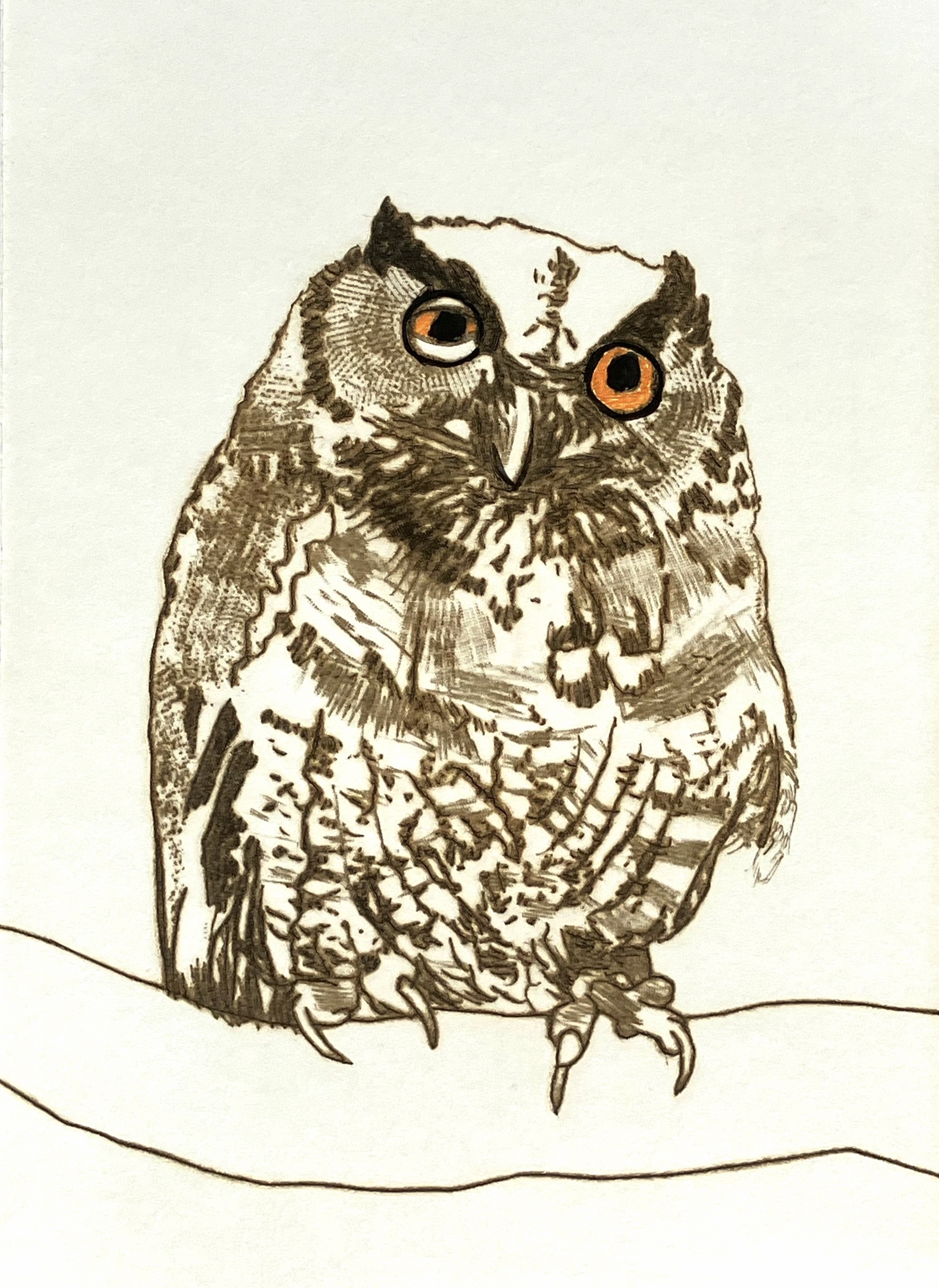 painting of one owl on a branch with head slightly tilted