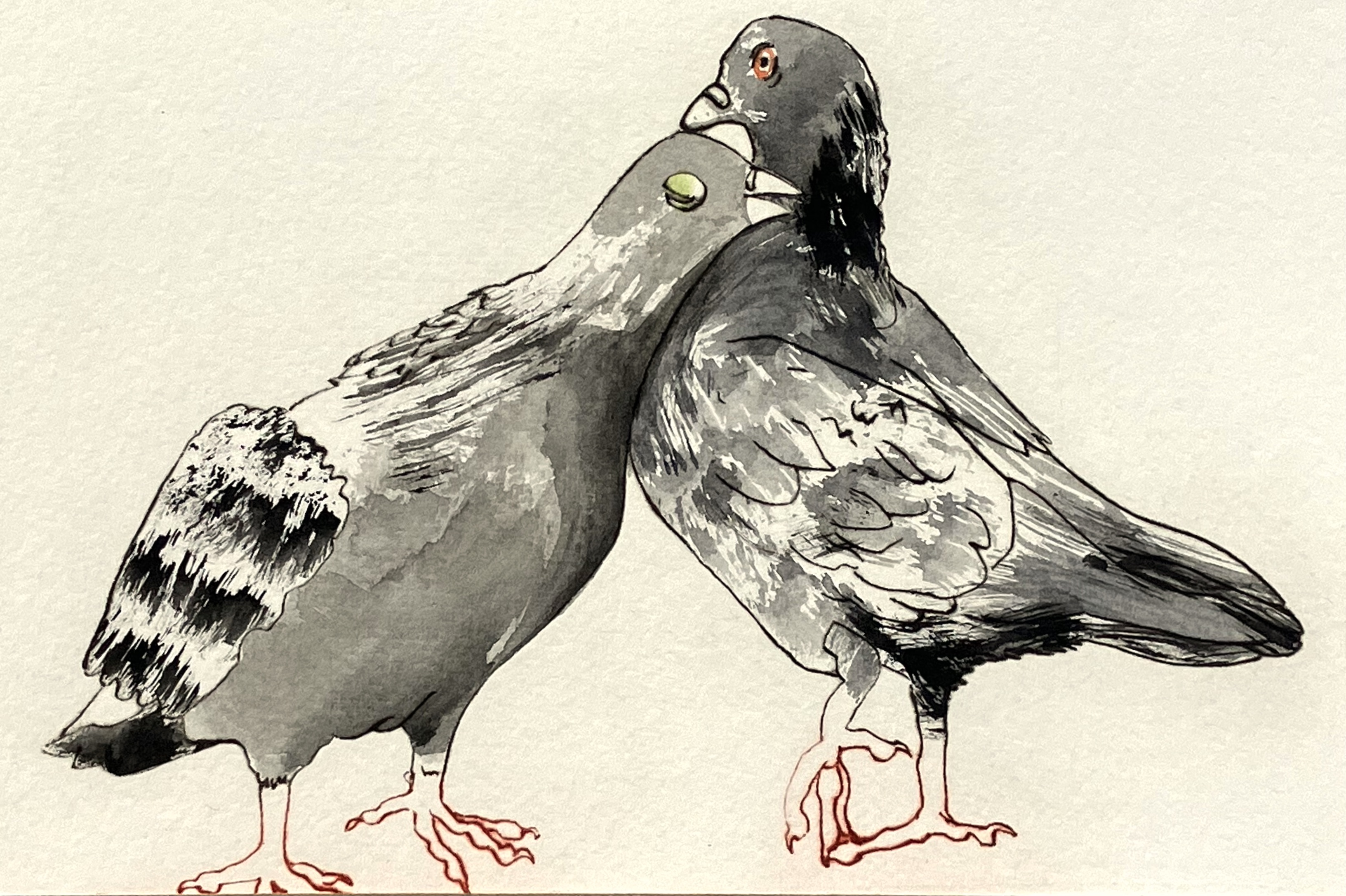 painting of two affectionate pigeons