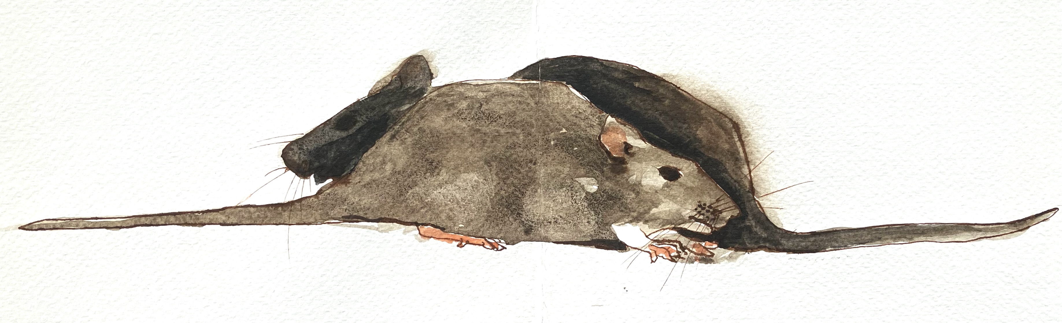 painting of two rats each going in the opposite direction with long tails