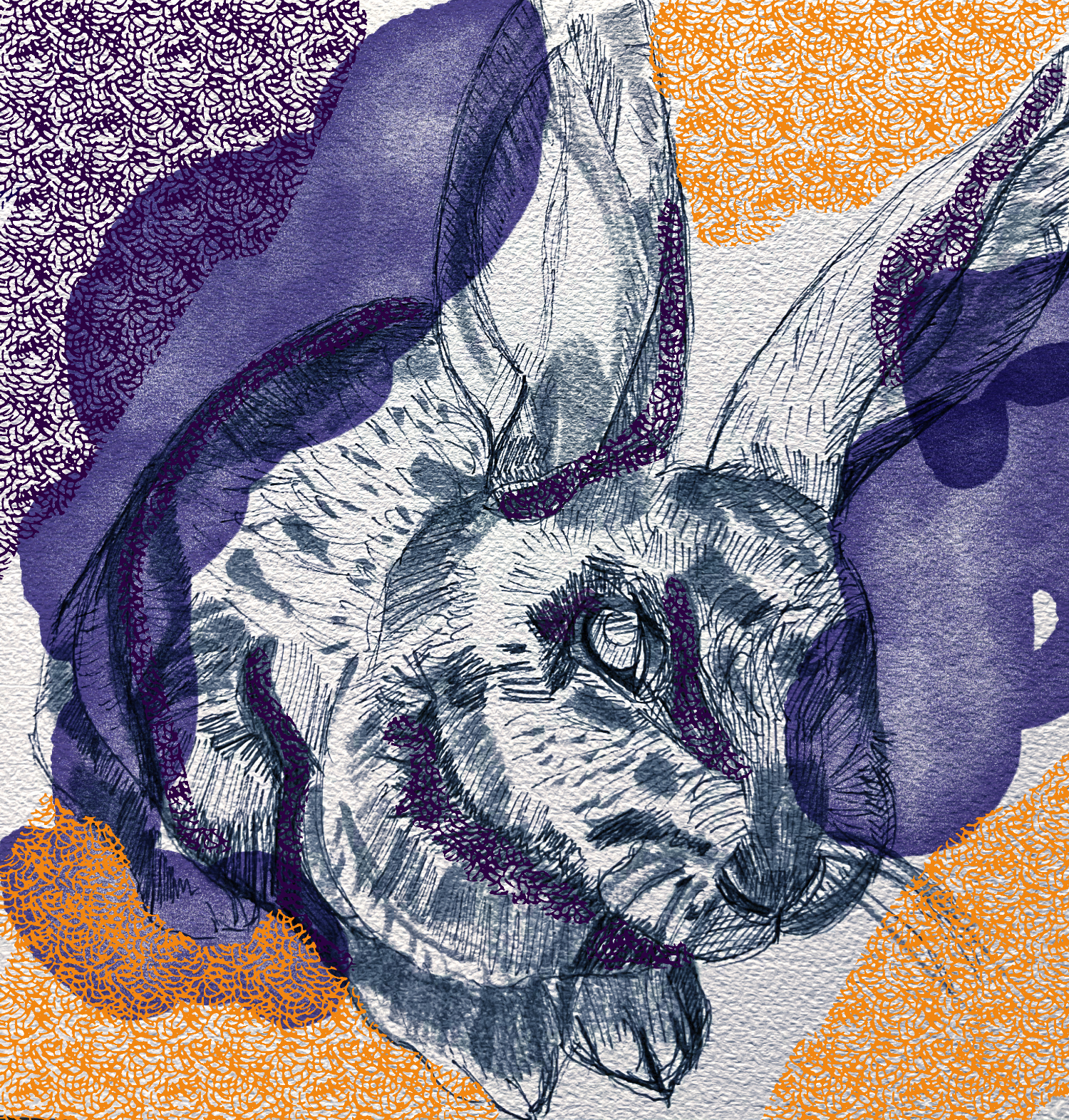 drawing of a bunny with a patterned background