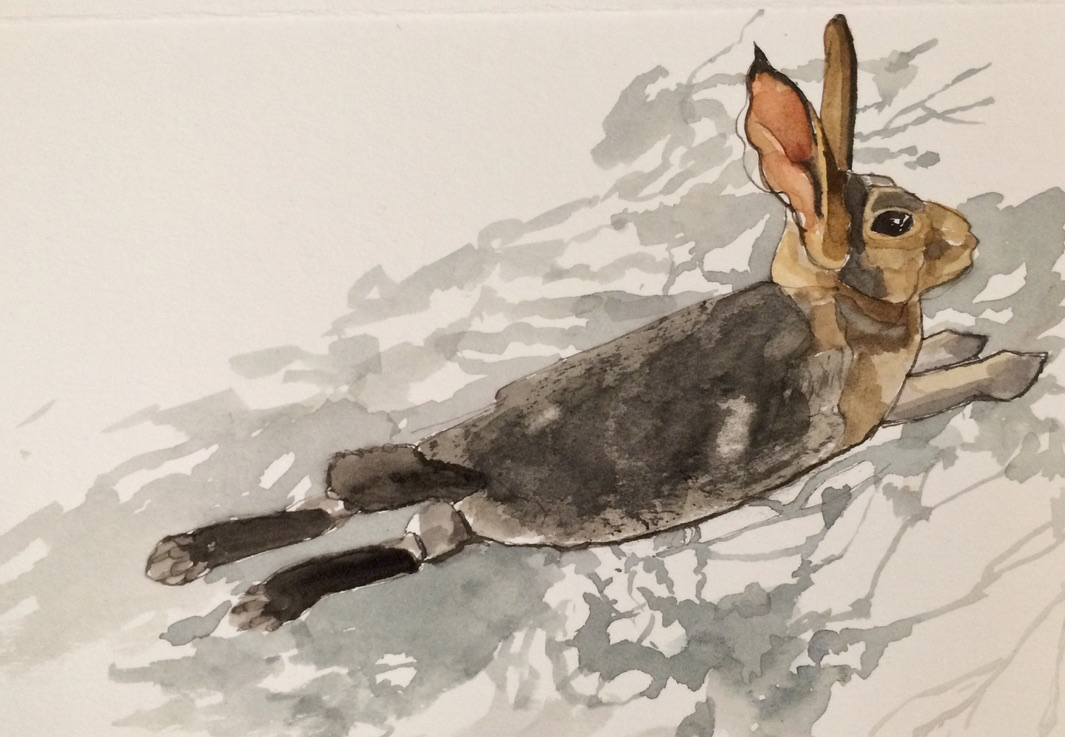 painting of a leaping rabbit