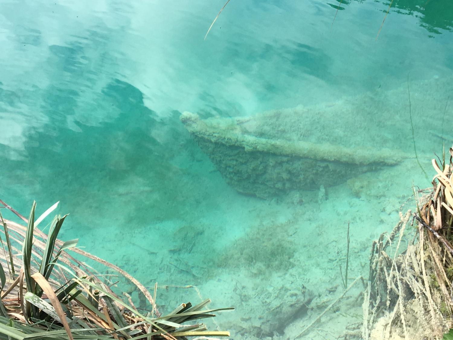 photo of sparkling water with grasses in the foreground and a shadowy sunken boat