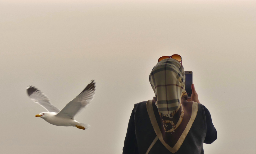 photograph of the back of a woman with scarf over her hair and 
        			sunglasses on top of her head looking at her phone with a gull flying by