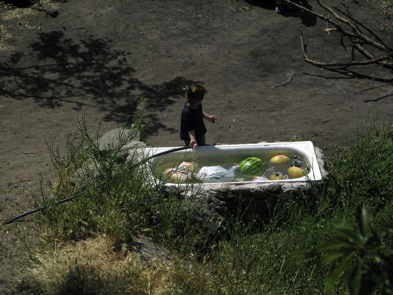 person with hose and outdoor bathtub with melons floating in it